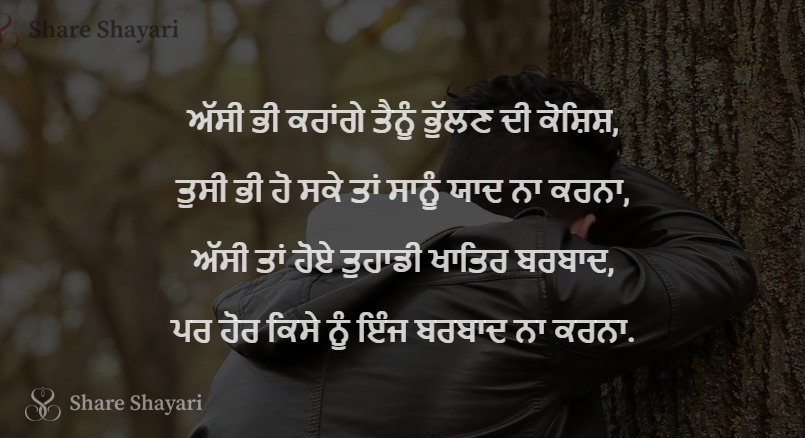 Assi bhi karange tainu bhullan di koshish-Share Shayari