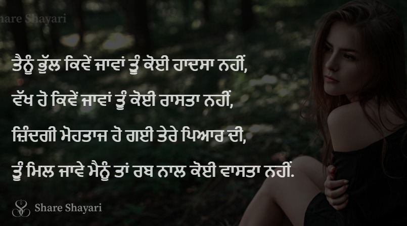 Tainu bhull kive jaava tu koi hadsa nai-Share Shayari